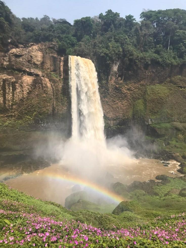 Chutes du Cameroun